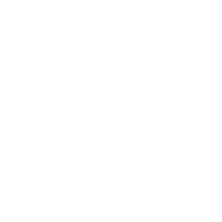 BalintDKing's emblem