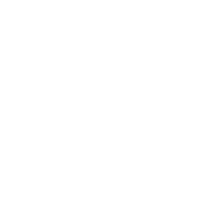 YiMing_SOLID's emblem