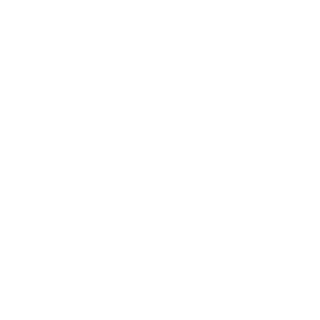 eNortiz's emblem