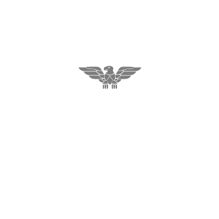 RecentFighter1's emblem