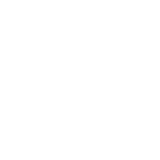 2CIz's emblem