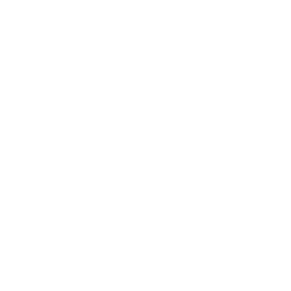 4GGRESSOR's emblem