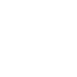 Tinhead101's emblem
