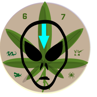 Lucasbennebsy's emblem