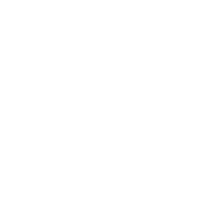 ChuckN000rris's emblem