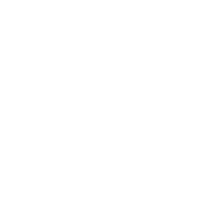 HawkeeBeemBoom's emblem