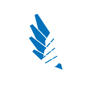 bullpower4u's emblem
