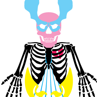 alecsmot1's emblem