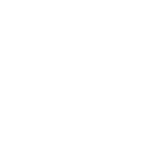 b0ggle's emblem