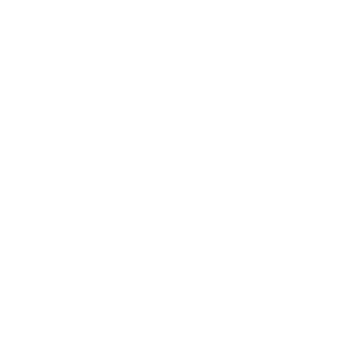 STACH-CLAN's emblem