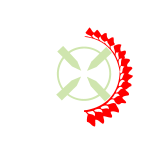 DuDeSon69's emblem