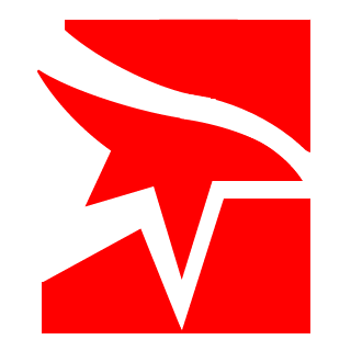 CYB3RPNK1's emblem