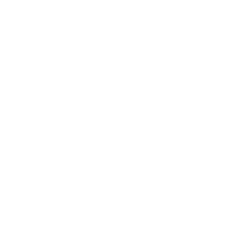 Hells Anomaly's emblem
