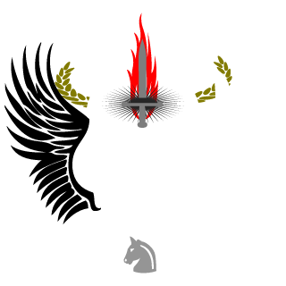 NoiDfitz's emblem