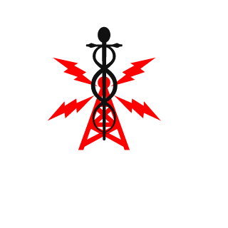 AzaRii506's emblem
