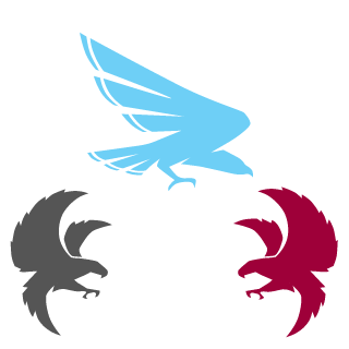 d309602's emblem