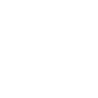 DollarStorThor's emblem