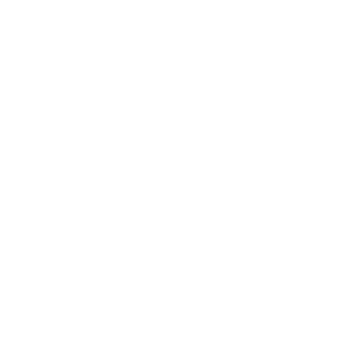 coolgamer961's emblem