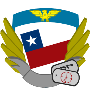 ValentinBro_98's emblem