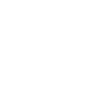 AJT_013's emblem
