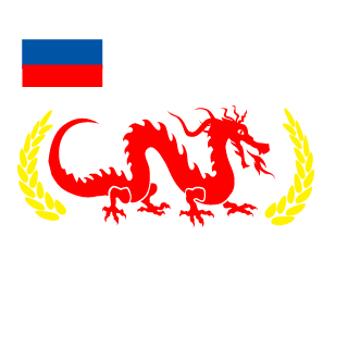 SkyVe1l's emblem
