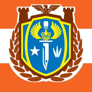 EternalFire9's emblem