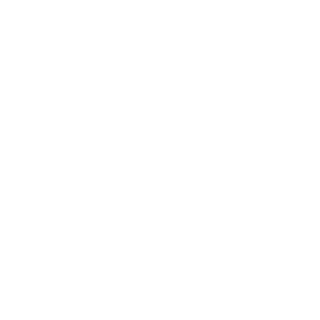 slocar13's emblem