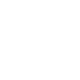 JEK9_BRAZIUS's emblem
