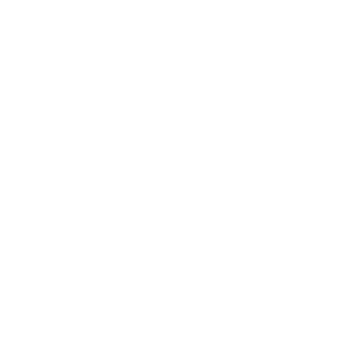 1TCM's emblem