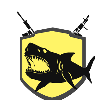 SkyromBR_CE's emblem