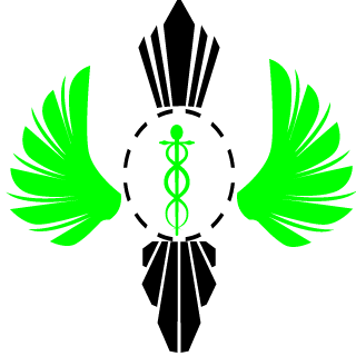 0Flyer0's emblem