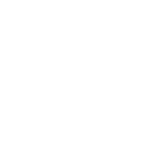 ninjasiura's emblem