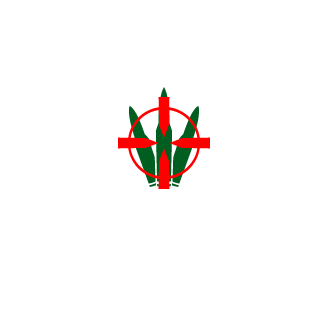 Super Amigos's emblem