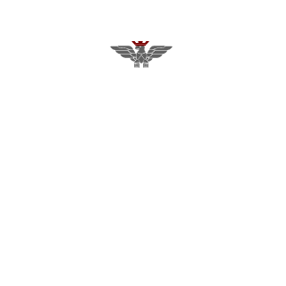 codyshanker2's emblem