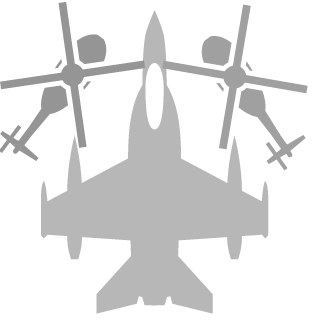 BlameTheLaaaag's emblem