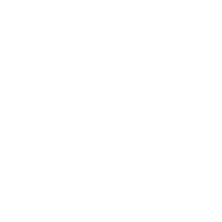 Ryzen8500's emblem