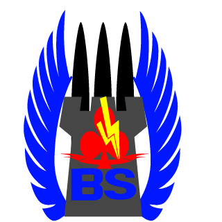 Battle Saints's emblem