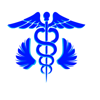 Government45-70's emblem