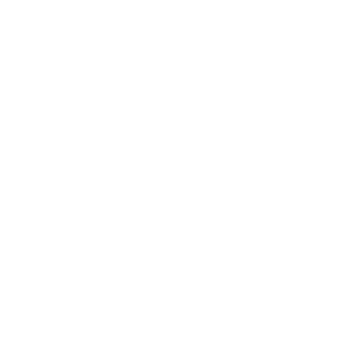 biggstyle's emblem