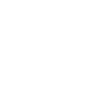 CurtyT's emblem