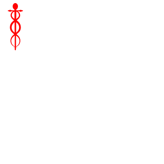 Maverikc1017's emblem
