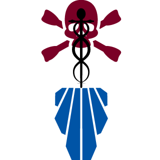 Rin_Aurum's emblem