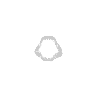 opsSAFADINNN's emblem