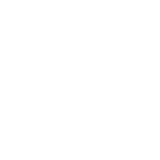 2DEMON2's emblem