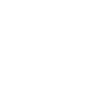 o0NEWBIE0o's emblem