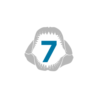 Black7PAC's emblem
