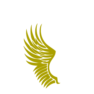 hashmi_prime's emblem