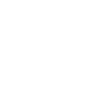 dNNsss's emblem
