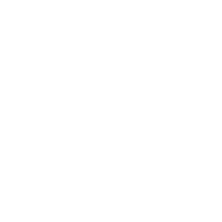 SwapForce5001's emblem