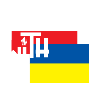 FreeLaY96's emblem